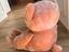 Immagine 3