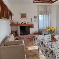 Vendita appartamento