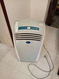 Condizionatore portatile pinguino