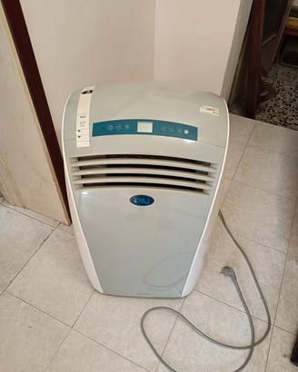 Condizionatore portatile pinguino