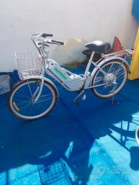 bicicletta elettrica 