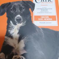 Il Cane Amarlo capirlo educarlo #11