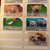 Rarissime schede telefoniche di animali