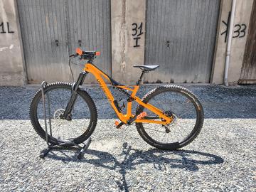 Specialized Stumpjumper  full carbon