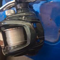 Daiwa laguna mulinello casting