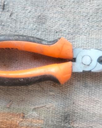 pinza  beta