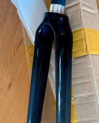 Forcella carbon bdc