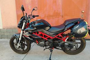 benelli  nn 125