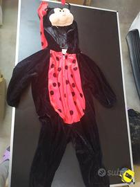 vestito coccinella per bambini