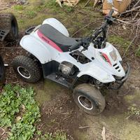 Quad 110
