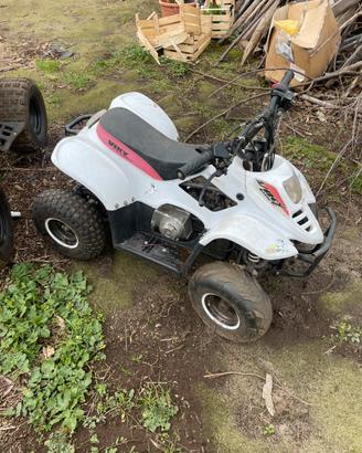 Quad 110