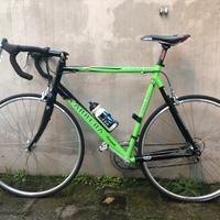 Bicicletta corsa uomo