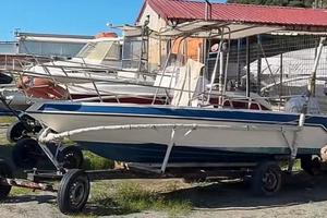 barca open + Mercury 25cv 