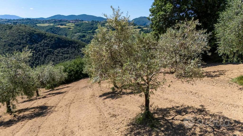 Terreno di 5330 m² a Salisano - Vista 5