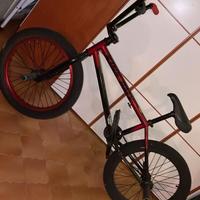 BMX Professionale