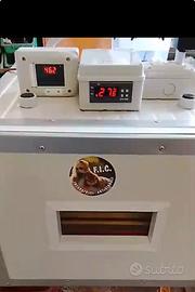 Incubatrice