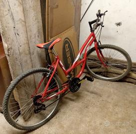 bicicletta 