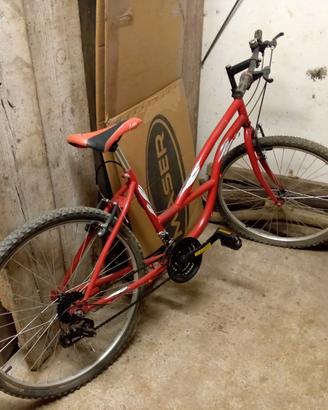 bicicletta 