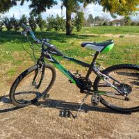 bicicletta da 24