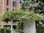 Immagine 29