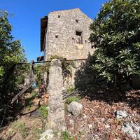 Terreno agricolo - Fondi