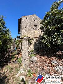 Terreno agricolo - Fondi