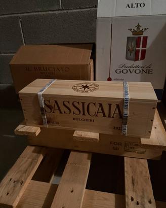 Magnum Sassicaia 2022 in cassa