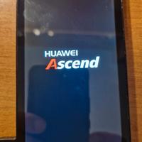 Huawei Ascend