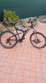 Mountain bike