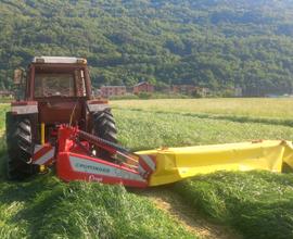 Terreni agricoli prato