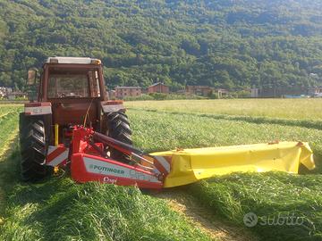 Terreni agricoli prato