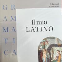 IL MIO LATINO - GRAMMATICA
