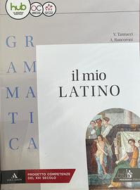 IL MIO LATINO - GRAMMATICA