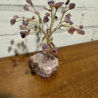 Alberello con pietre viola