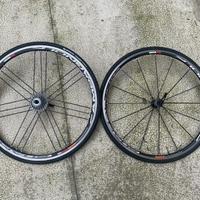 Ruote Campagnolo Shamal Ultra
