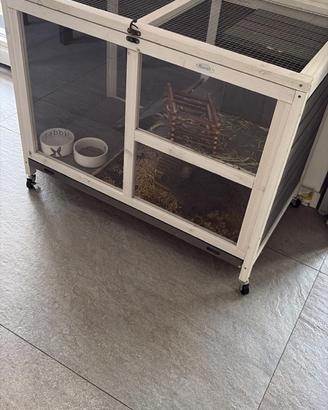 Casetta per coniglio nano