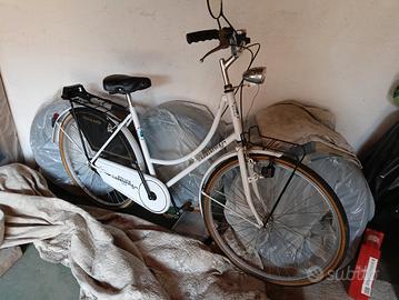 bicicletta da donna  