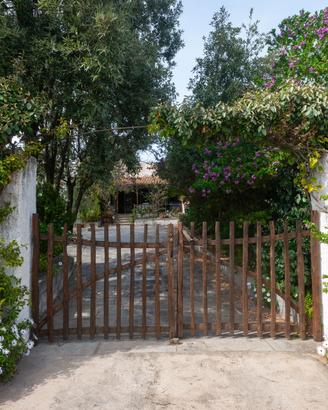 Casale