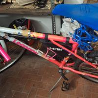 Bicicletta mountain bike da donna usata