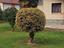 Immagine 3