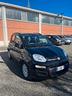 fiat-panda-1-2-lounge