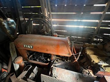 Fist 411 a cingoli