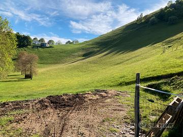 Terreno con stalla e fienile