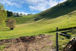 Terreno con stalla e fienile