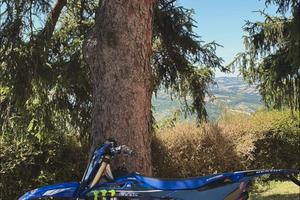 yz 250 2024