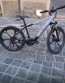 E-Bike Celektron CK-M1T elettrica (36V,250W