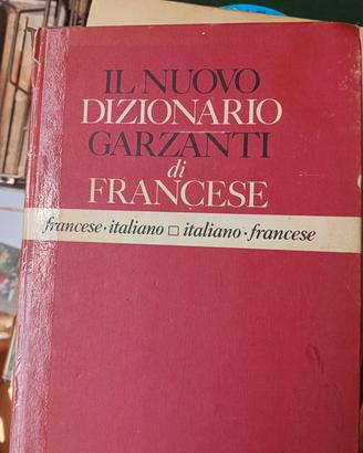 dizionario francese Garzanti 