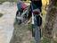 Immagine 6