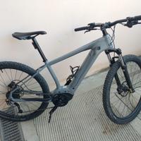 Cannondale Trail Neo 3