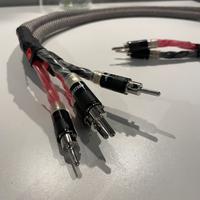 Cavo diffusori Neotech NES 3001 (1+1 metri)